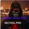 RDM87 INJECTOR
